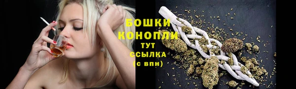 шишки Балабаново