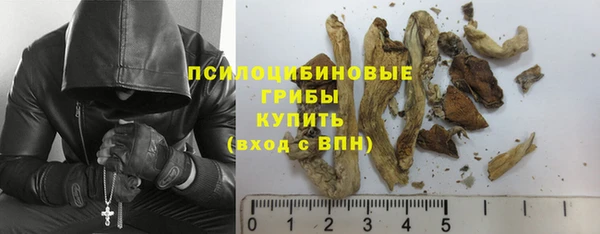 шишки Балабаново