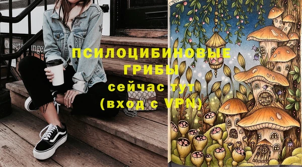 спиды Арсеньев