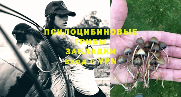 шишки Балабаново