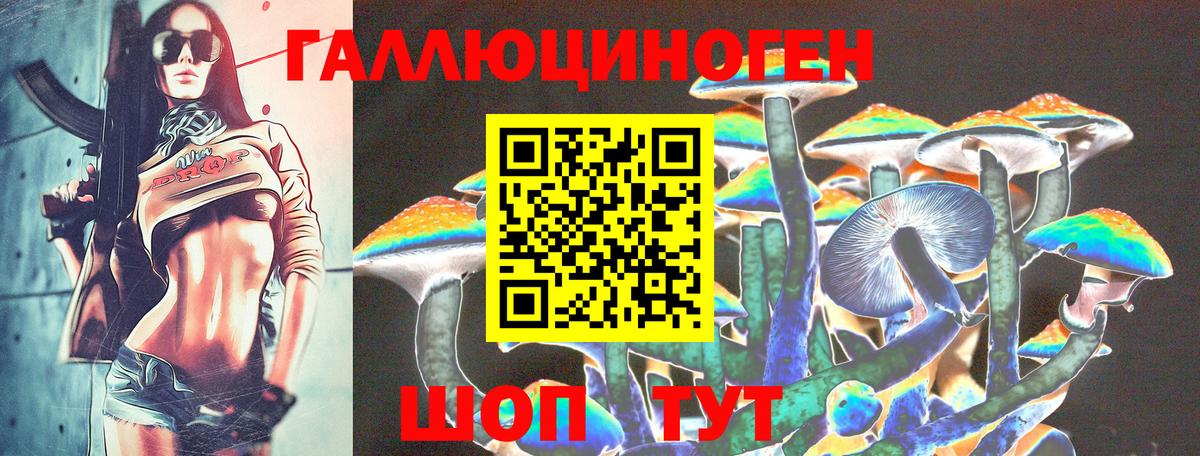 Псилоцибиновые грибы Psilocybine cubensis Черняховск